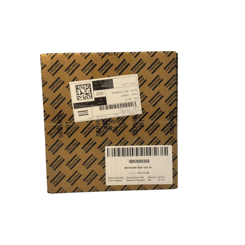 Bản gốc 3002600350 ATLAS COPCO Motor Non Drive Side Kit cho máy nén vít được tiêm dầu
